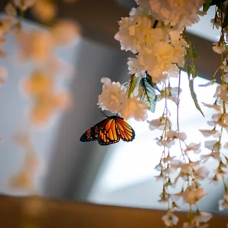 Apartment Queen's Loft Windermere