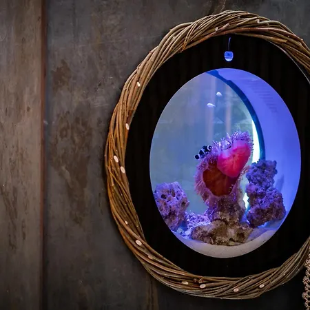 Apartment Queen's Loft *