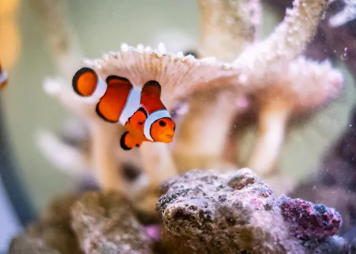 Queen's Loft Apartment