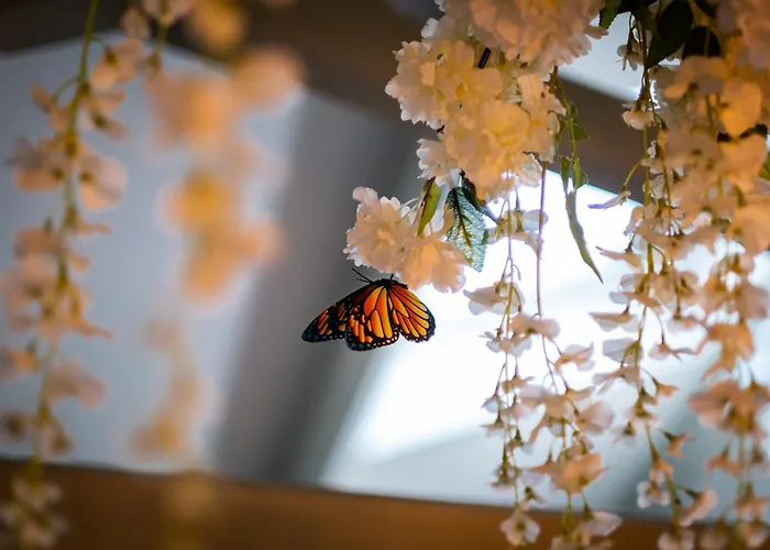 公寓 Queen's Loft 温德米尔